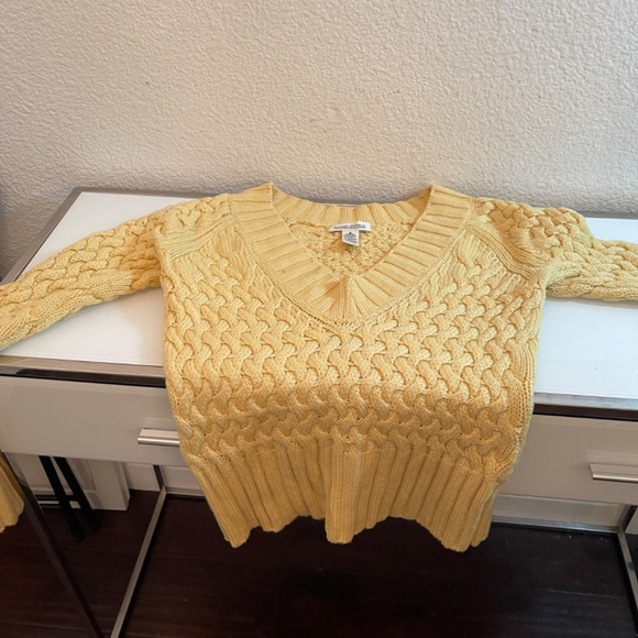 NWOT  BANANA REPUBLIC EXTRA FINE ITALIAN MERINO WOOL V-NECK SWEATER - Picture 12 of 12